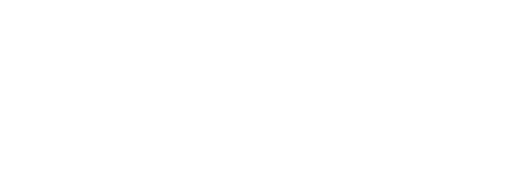 Nochedeluz ciegosysordos co