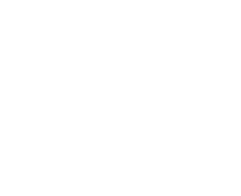 Nochedeluz ciegosysordos co